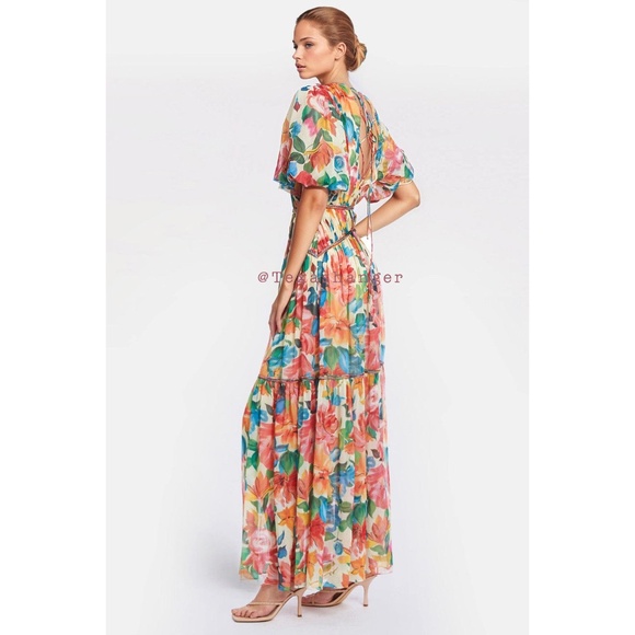 NWT One33 Social The Francesca Floral Maxi Gown Size 4 - Picture 6 of 16